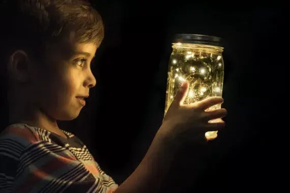 A boy looking a glow worms in a jar