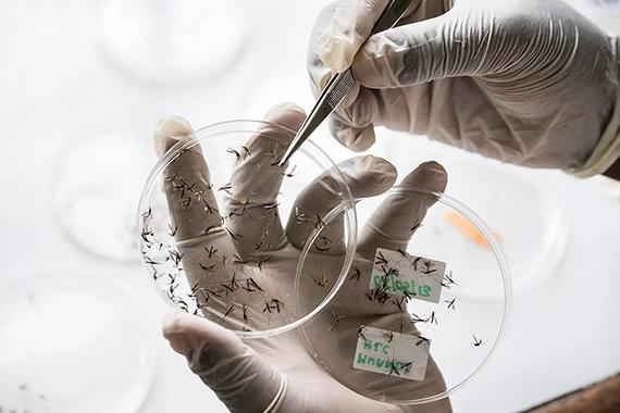 Novartis Institute for Tropical Diseases